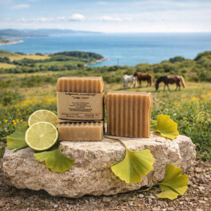 Stutenmilchseife Ginkgo Limette